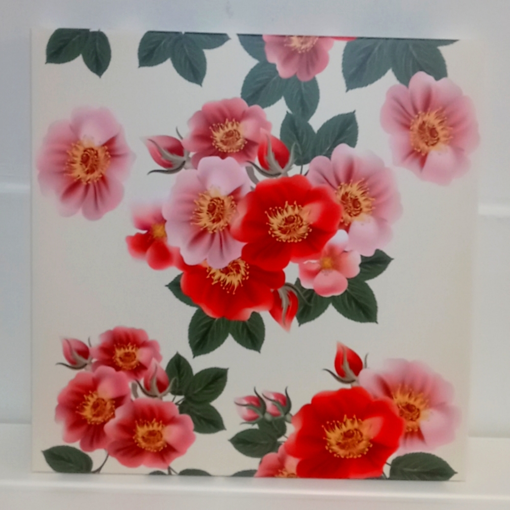 Canvas wall art 16" x 16"